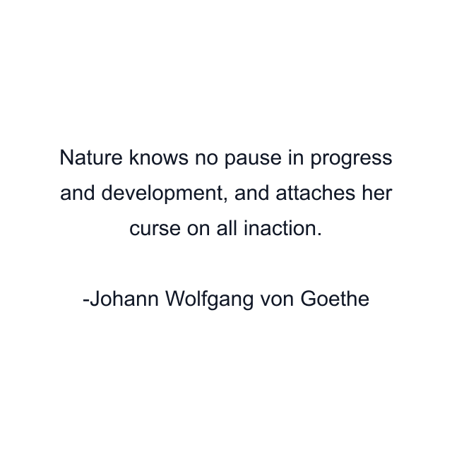 Nature knows no pause in progress and development, and attaches her curse on all inaction.