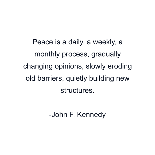 Peace is a daily, a weekly, a monthly process, gradually changing opinions, slowly eroding old barriers, quietly building new structures.