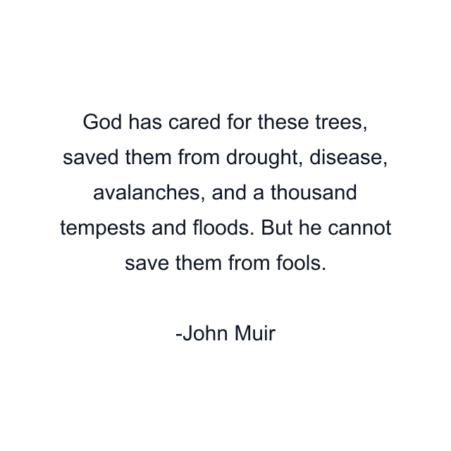 God has cared for these trees, saved them from drought, disease, avalanches, and a thousand tempests and floods. But he cannot save them from fools.