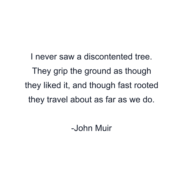 I never saw a discontented tree. They grip the ground as though they liked it, and though fast rooted they travel about as far as we do.