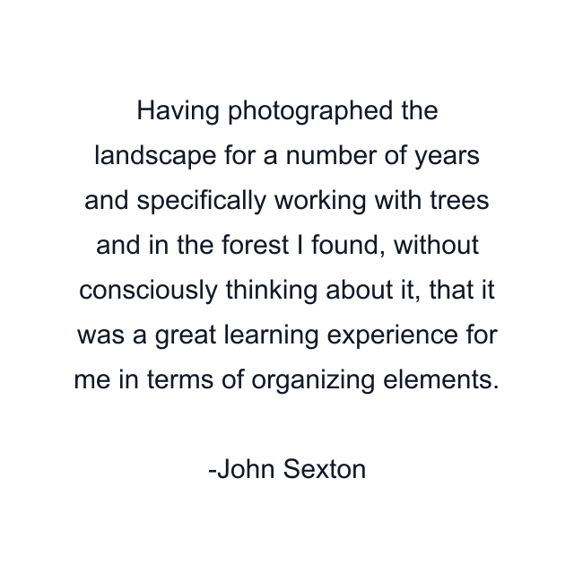 Having photographed the landscape for a number of years and specifically working with trees and in the forest I found, without consciously thinking about it, that it was a great learning experience for me in terms of organizing elements.