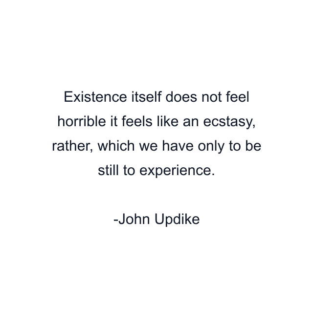 Existence itself does not feel horrible it feels like an ecstasy, rather, which we have only to be still to experience.