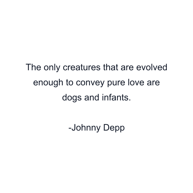 The only creatures that are evolved enough to convey pure love are dogs and infants.