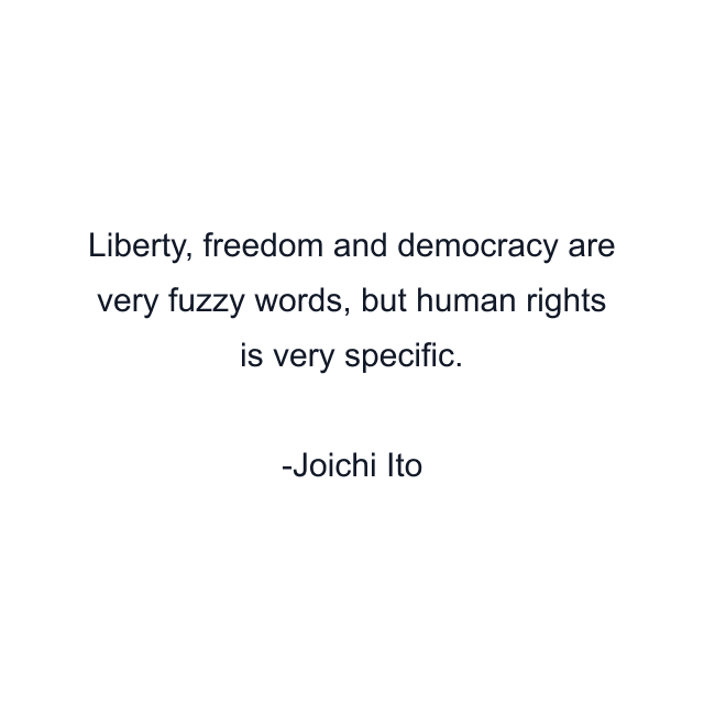 Liberty, freedom and democracy are very fuzzy words, but human rights is very specific.