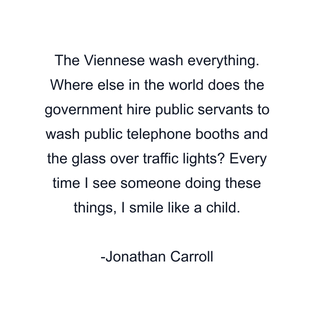 The Viennese wash everything. Where else in the world does the government hire public servants to wash public telephone booths and the glass over traffic lights? Every time I see someone doing these things, I smile like a child.