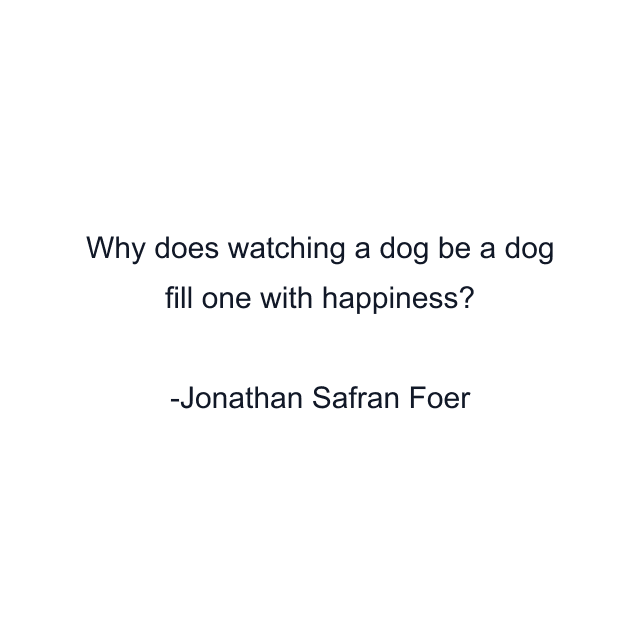 Why does watching a dog be a dog fill one with happiness?