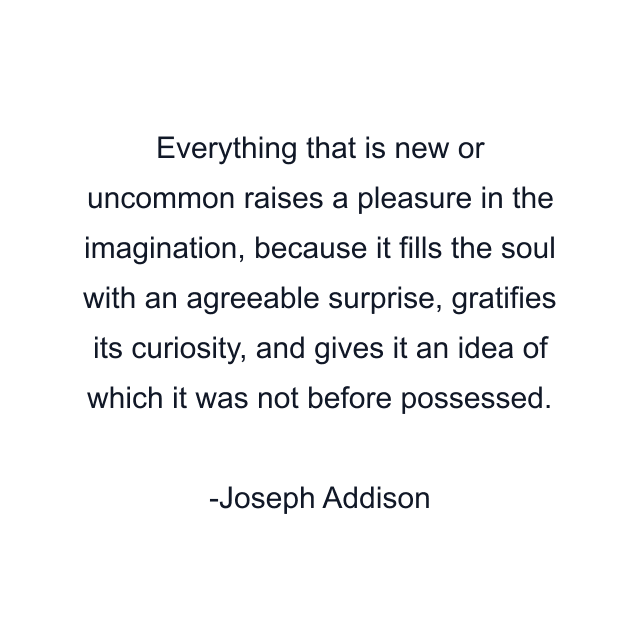 Everything that is new or uncommon raises a pleasure in the imagination, because it fills the soul with an agreeable surprise, gratifies its curiosity, and gives it an idea of which it was not before possessed.