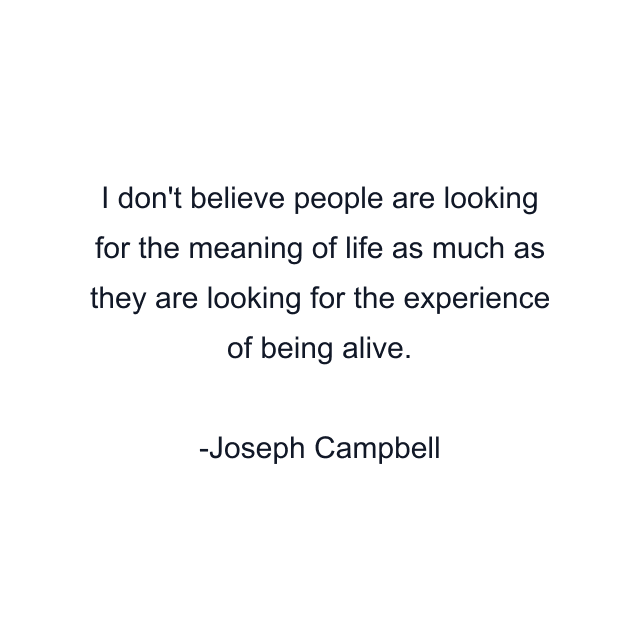 I don't believe people are looking for the meaning of life as much as they are looking for the experience of being alive.