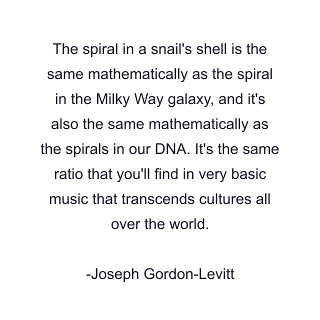 The spiral in a snail's shell is the same mathematically as the spiral in the Milky Way galaxy, and it's also the same mathematically as the spirals in our DNA. It's the same ratio that you'll find in very basic music that transcends cultures all over the world.