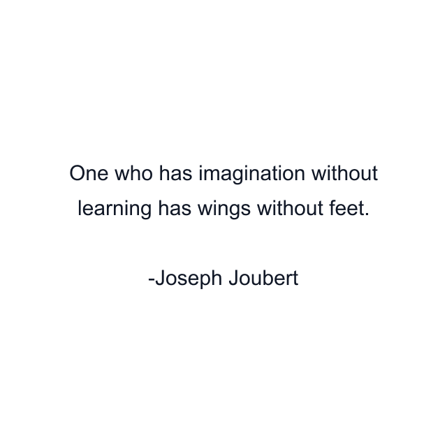 One who has imagination without learning has wings without feet.