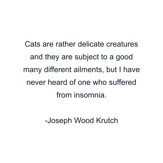 Cats are rather delicate creatures and they are subject to a good many different ailments, but I have never heard of one who suffered from insomnia.