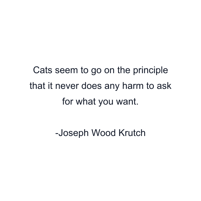 Cats seem to go on the principle that it never does any harm to ask for what you want.