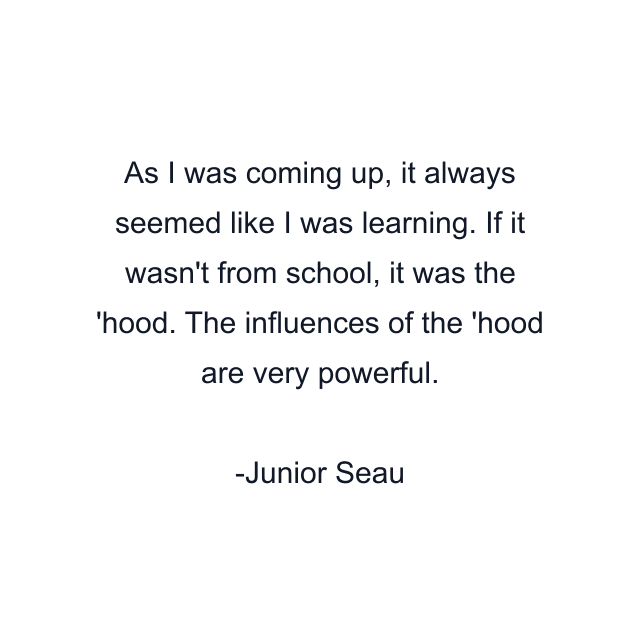 As I was coming up, it always seemed like I was learning. If it wasn't from school, it was the 'hood. The influences of the 'hood are very powerful.