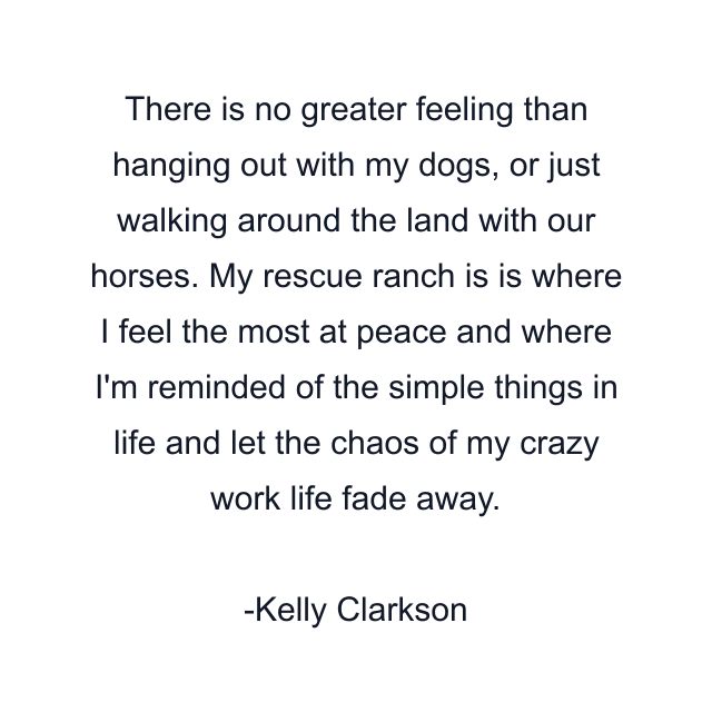 There is no greater feeling than hanging out with my dogs, or just walking around the land with our horses. My rescue ranch is is where I feel the most at peace and where I'm reminded of the simple things in life and let the chaos of my crazy work life fade away.