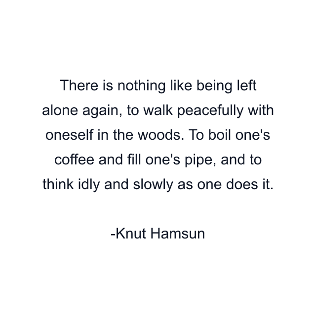 There is nothing like being left alone again, to walk peacefully with oneself in the woods. To boil one's coffee and fill one's pipe, and to think idly and slowly as one does it.