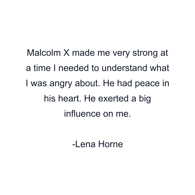 Malcolm X made me very strong at a time I needed to understand what I was angry about. He had peace in his heart. He exerted a big influence on me.