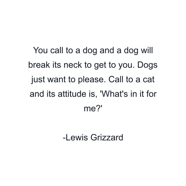 You call to a dog and a dog will break its neck to get to you. Dogs just want to please. Call to a cat and its attitude is, 'What's in it for me?'