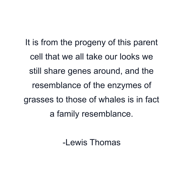 It is from the progeny of this parent cell that we all take our looks we still share genes around, and the resemblance of the enzymes of grasses to those of whales is in fact a family resemblance.