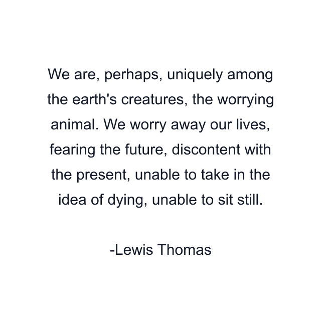 We are, perhaps, uniquely among the earth's creatures, the worrying animal. We worry away our lives, fearing the future, discontent with the present, unable to take in the idea of dying, unable to sit still.