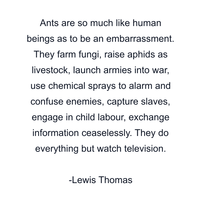 Ants are so much like human beings as to be an embarrassment. They farm fungi, raise aphids as livestock, launch armies into war, use chemical sprays to alarm and confuse enemies, capture slaves, engage in child labour, exchange information ceaselessly. They do everything but watch television.