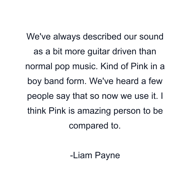 We've always described our sound as a bit more guitar driven than normal pop music. Kind of Pink in a boy band form. We've heard a few people say that so now we use it. I think Pink is amazing person to be compared to.