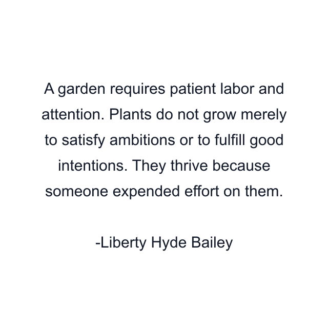 A garden requires patient labor and attention. Plants do not grow merely to satisfy ambitions or to fulfill good intentions. They thrive because someone expended effort on them.