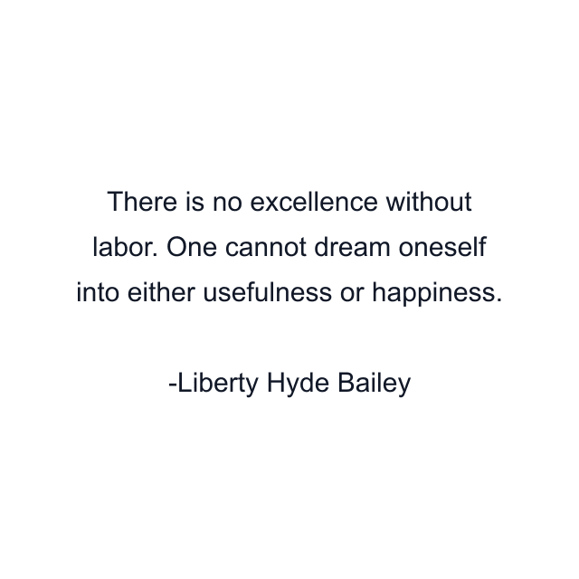 There is no excellence without labor. One cannot dream oneself into either usefulness or happiness.