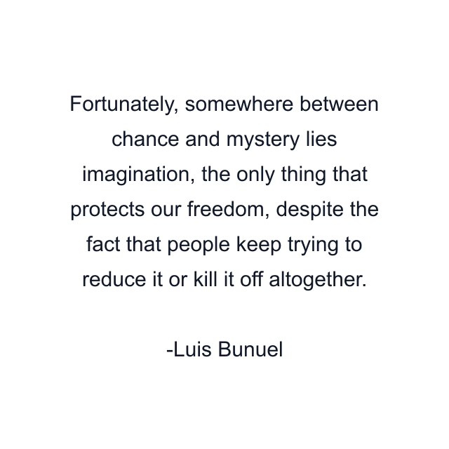 Fortunately, somewhere between chance and mystery lies imagination, the only thing that protects our freedom, despite the fact that people keep trying to reduce it or kill it off altogether.