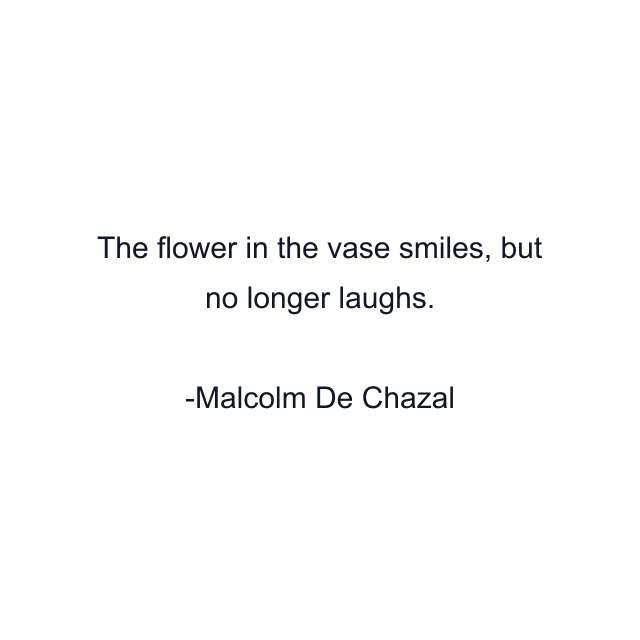 The flower in the vase smiles, but no longer laughs.