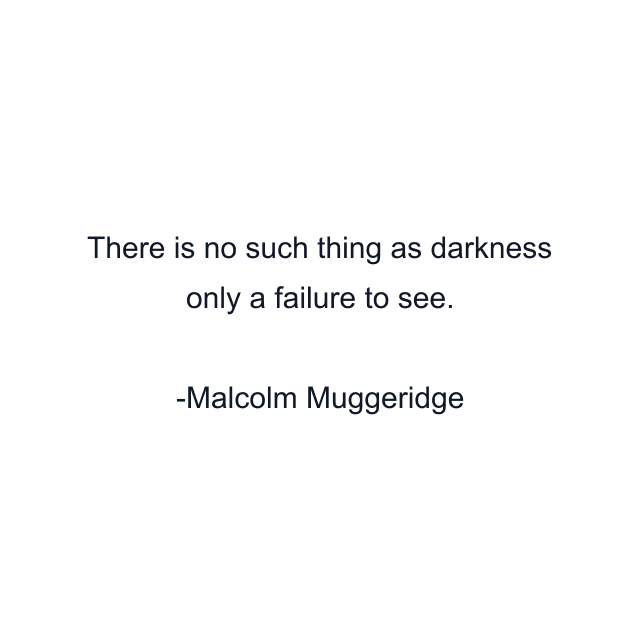 There is no such thing as darkness only a failure to see.