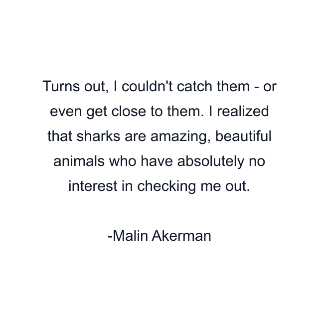 Turns out, I couldn't catch them - or even get close to them. I realized that sharks are amazing, beautiful animals who have absolutely no interest in checking me out.