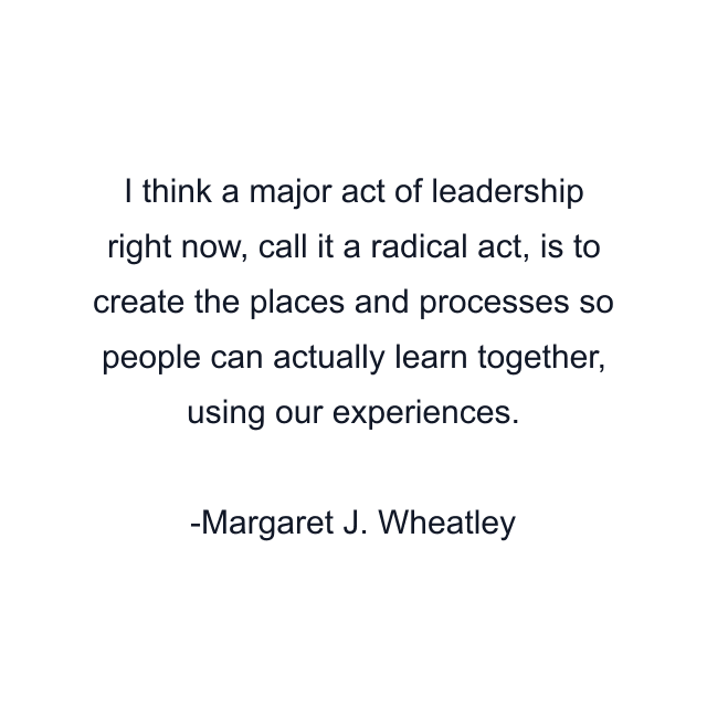 I think a major act of leadership right now, call it a radical act, is to create the places and processes so people can actually learn together, using our experiences.