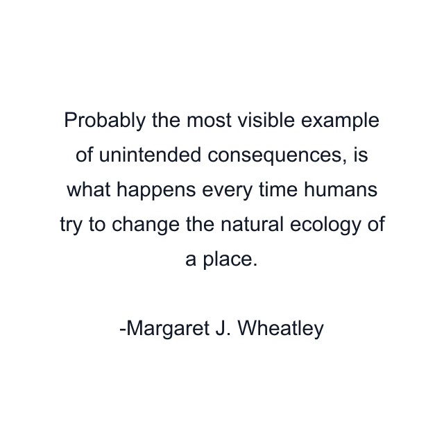 Probably the most visible example of unintended consequences, is what happens every time humans try to change the natural ecology of a place.