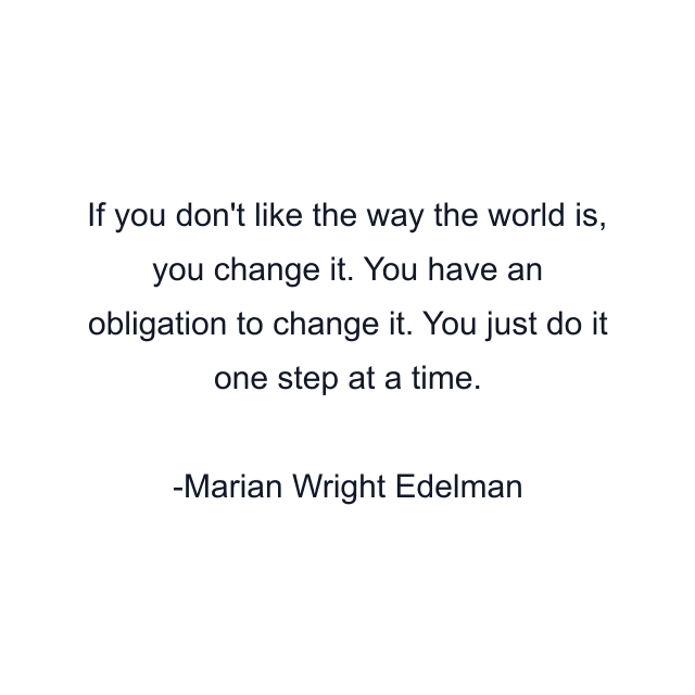 If you don't like the way the world is, you change it. You have an obligation to change it. You just do it one step at a time.