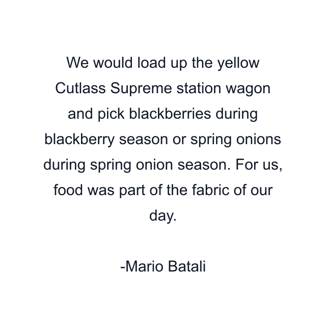 We would load up the yellow Cutlass Supreme station wagon and pick blackberries during blackberry season or spring onions during spring onion season. For us, food was part of the fabric of our day.