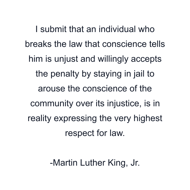 I submit that an individual who breaks the law that conscience tells him is unjust and willingly accepts the penalty by staying in jail to arouse the conscience of the community over its injustice, is in reality expressing the very highest respect for law.