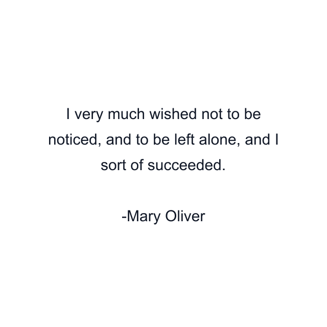 I very much wished not to be noticed, and to be left alone, and I sort of succeeded.