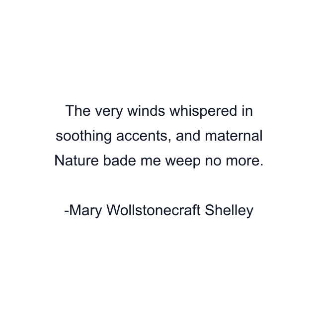 The very winds whispered in soothing accents, and maternal Nature bade me weep no more.