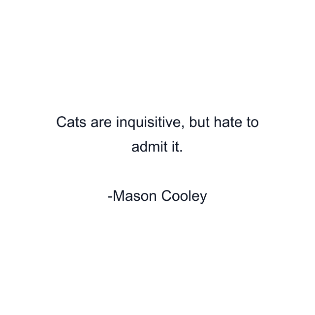 Cats are inquisitive, but hate to admit it.