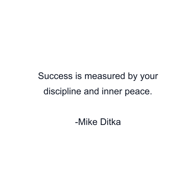 Success is measured by your discipline and inner peace.