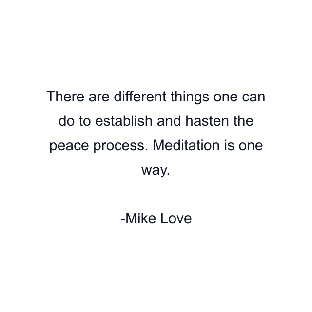 There are different things one can do to establish and hasten the peace process. Meditation is one way.