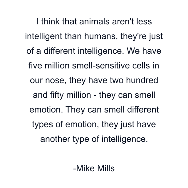 I think that animals aren't less intelligent than humans, they're just of a different intelligence. We have five million smell-sensitive cells in our nose, they have two hundred and fifty million - they can smell emotion. They can smell different types of emotion, they just have another type of intelligence.