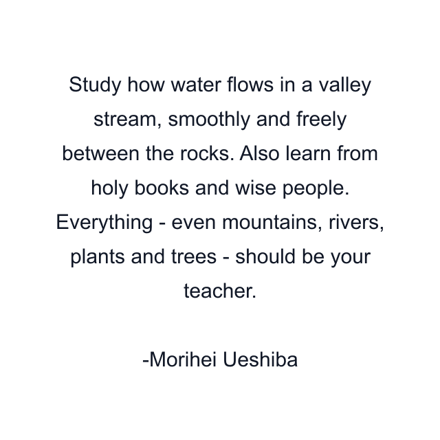 Study how water flows in a valley stream, smoothly and freely between the rocks. Also learn from holy books and wise people. Everything - even mountains, rivers, plants and trees - should be your teacher.