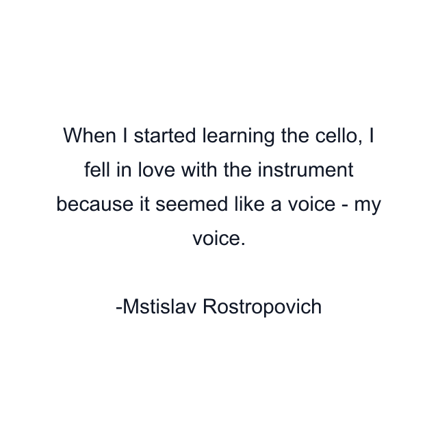 When I started learning the cello, I fell in love with the instrument because it seemed like a voice - my voice.