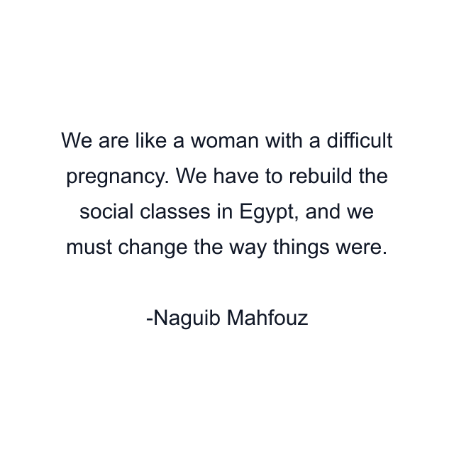 We are like a woman with a difficult pregnancy. We have to rebuild the social classes in Egypt, and we must change the way things were.