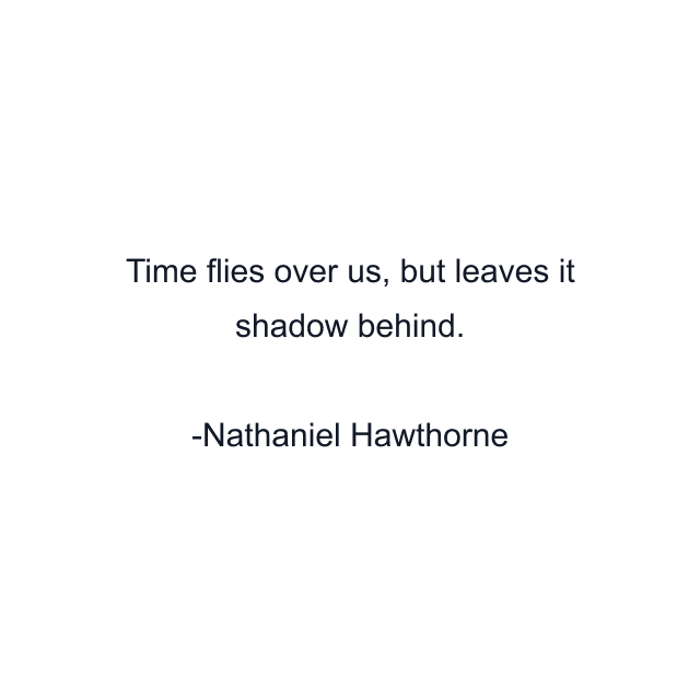 Time flies over us, but leaves it shadow behind.