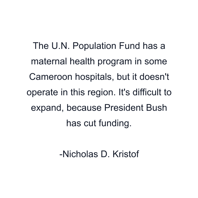 The U.N. Population Fund has a maternal health program in some Cameroon hospitals, but it doesn't operate in this region. It's difficult to expand, because President Bush has cut funding.