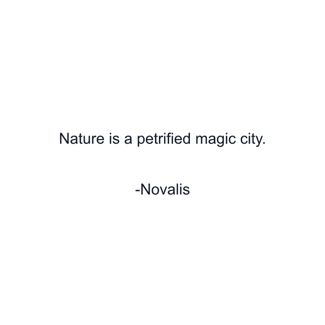 Nature is a petrified magic city.