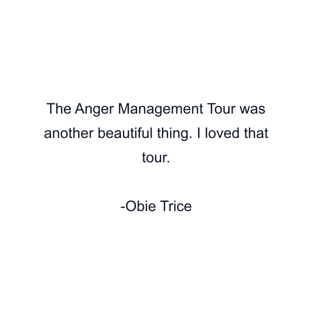 The Anger Management Tour was another beautiful thing. I loved that tour.