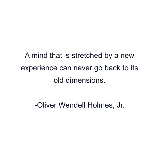 A mind that is stretched by a new experience can never go back to its old dimensions.